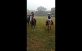 Perfect leadline/beginners mount  on HorseYard.com.au (thumbnail)