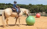 Beginner Quarter Horse Palomino on HorseYard.com.au (thumbnail)