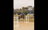 ALL ROUNDER WELSH COB FOR CAPABLE RIDER- BRILLIANT SHOWJUMPER  on HorseYard.com.au (thumbnail)