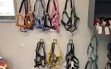 Headstalls on HorseYard.com.au (thumbnail)