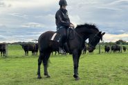 Retrained racehorses for sale on HorseYard.com.au