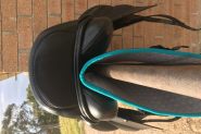 Kent & Masters 17” Dressage Saddle S Series on HorseYard.com.au