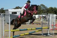 Stunning Eventer With Top Potential  on HorseYard.com.au