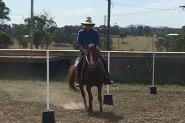 Beautiful QH xTB Ruby on HorseYard.com.au