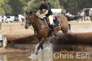 Seen it all on HorseYard.com.au