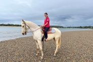 4yr old Palomino & 3yr old Palomino Quarter Horses on HorseYard.com.au