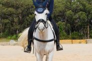 All rounder  on HorseYard.com.au