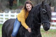 Best Friesian Mare . on HorseYard.com.au