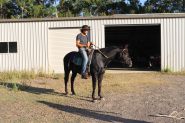 JET BLACK QUARTER HORSE CROSS GELDING on HorseYard.com.au