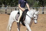 Beautiful Pony looking for new home. on HorseYard.com.au
