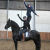 Fantastic Friesian mare horse . on HorseYard.com.au