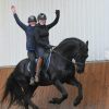 Alex is a 4 year old, 16.2 hand. on HorseYard.com.au