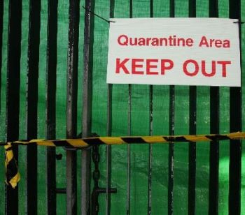 Three Properties Quarantined In Latest Hendra Incident