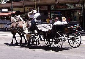 Melbourne Horse Carriage Operators Adopt New Code Of Practice