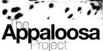 Progress In Identifying The Genetics Of Appaloosa Spotting