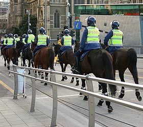 Vic Police Looking For New Horses