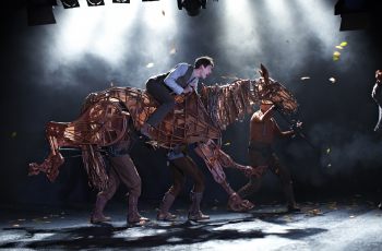 "War Horse" Previews At Equitana Melbourne!