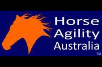 Horse Agility Is Taking Off In Australia