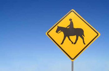 Horses Set Loose In Nuisance Acts