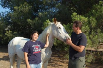 Rescue Of Blind Horse Helps Raise Awareness Of Abandoned Animals